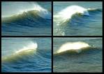 (02) empty waves montage.jpg    (1000x720)    354 KB                              click to see enlarged picture